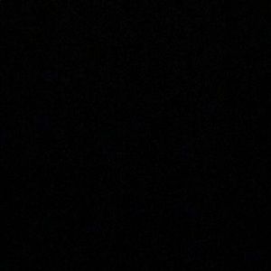 Meet your Posher, Ralph